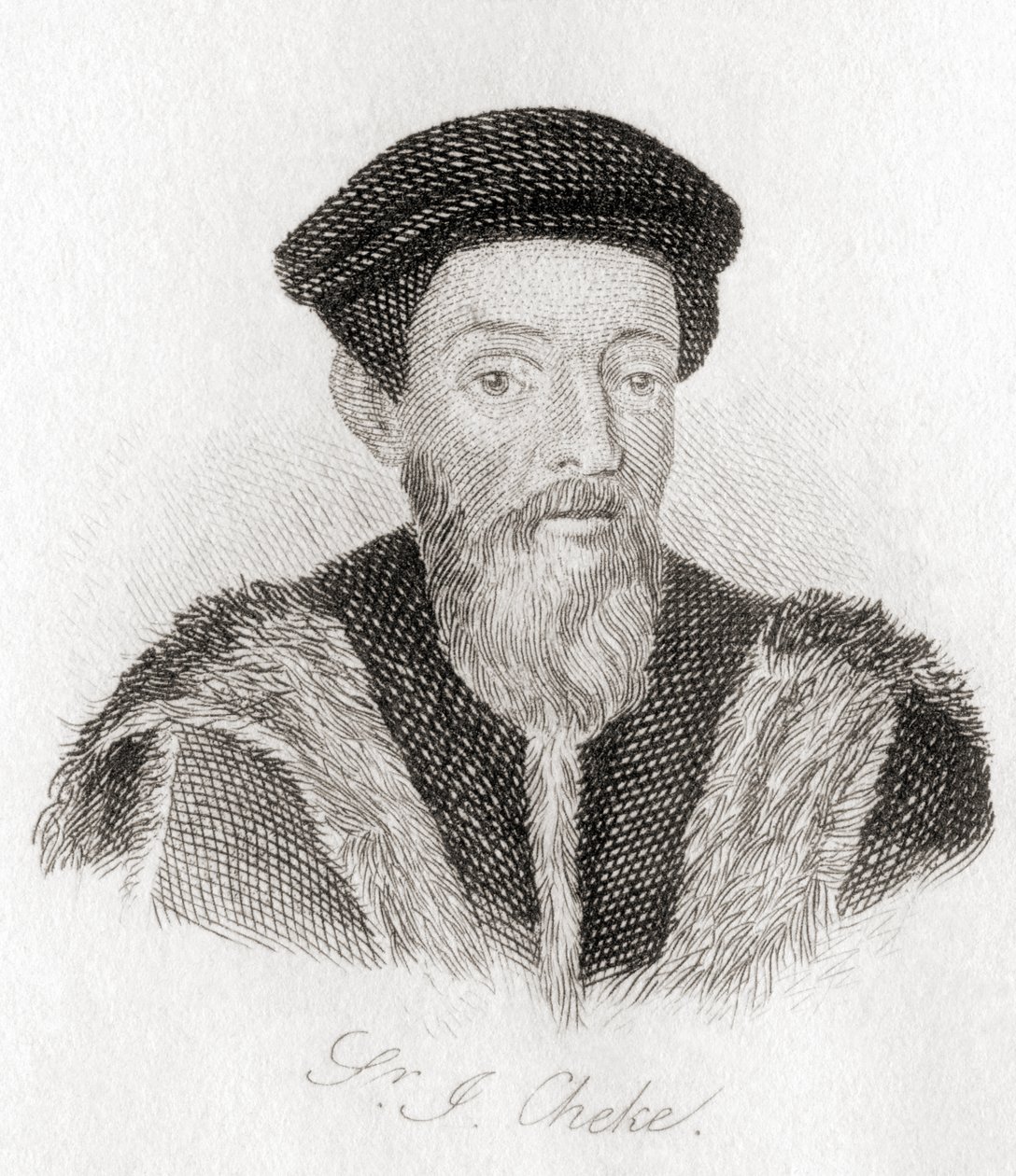 Sir John Cheke, um 1514-1557 von Unknown