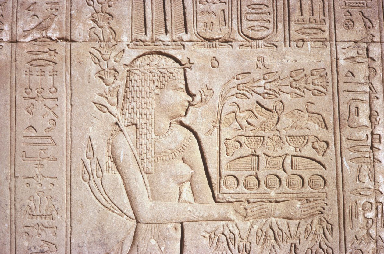 Ägypten, Dendara, komplizierte Wandgravuren an der Ostwand des Hathor-Tempels. von Unknown
