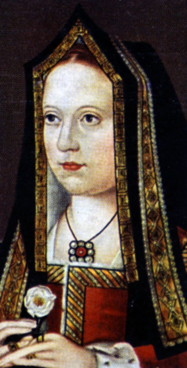 Elisabeth von York von Unknown