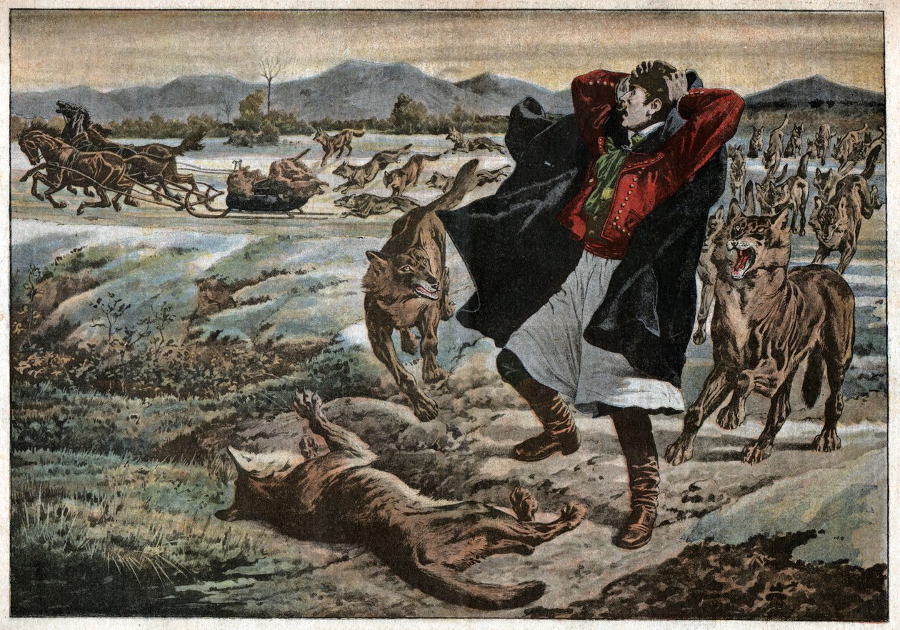 Wölfe in Transsilvanien von Unknown