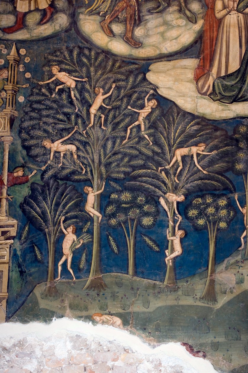 St. Maria in Piano Kirche, Loreto Aprutino, Abruzzen, Italien von Unknown