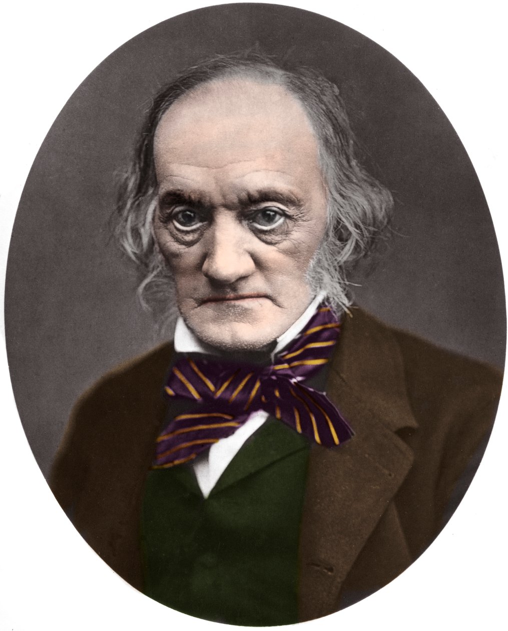 Porträt des britischen Paläontologen und Anatomen Sir Richard Owen (1804-1892) von French Photographer