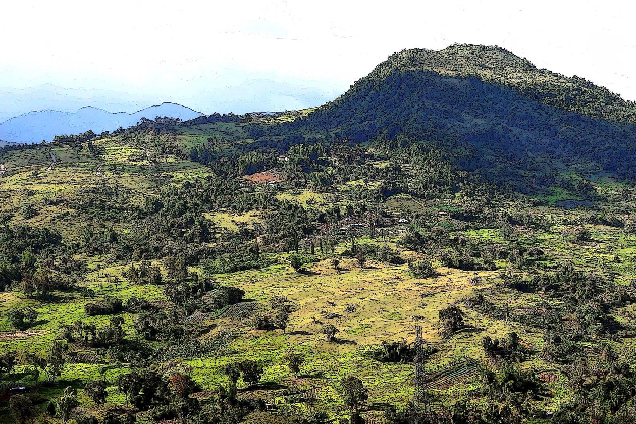 Cebu Hügel von Detlef B. Fischer