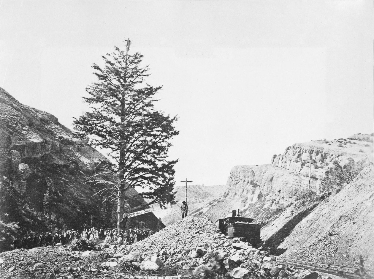 Amerikaner von A.J. Russell