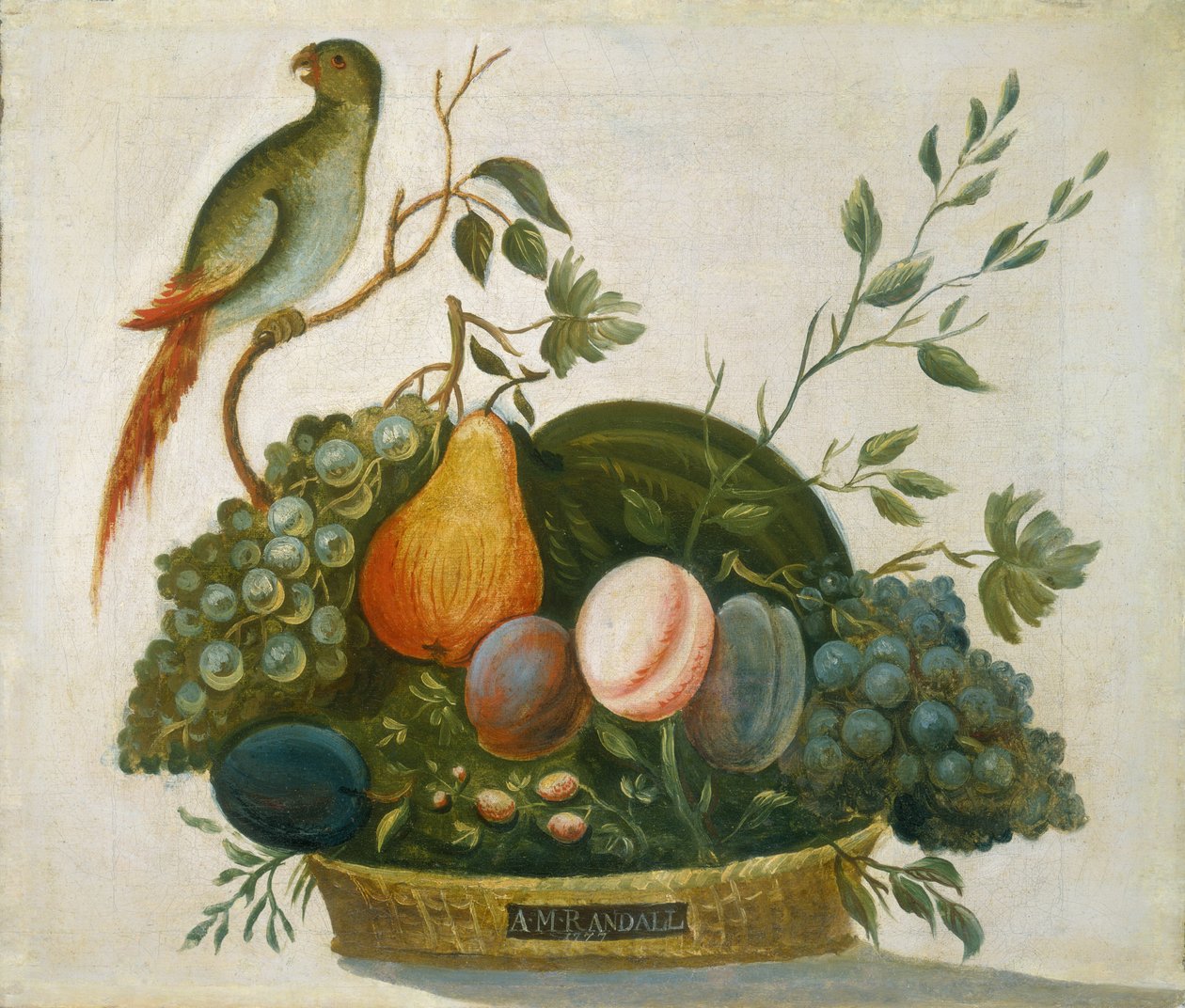 Korb mit Früchten und Papagei, 1777 von A.M. Randall