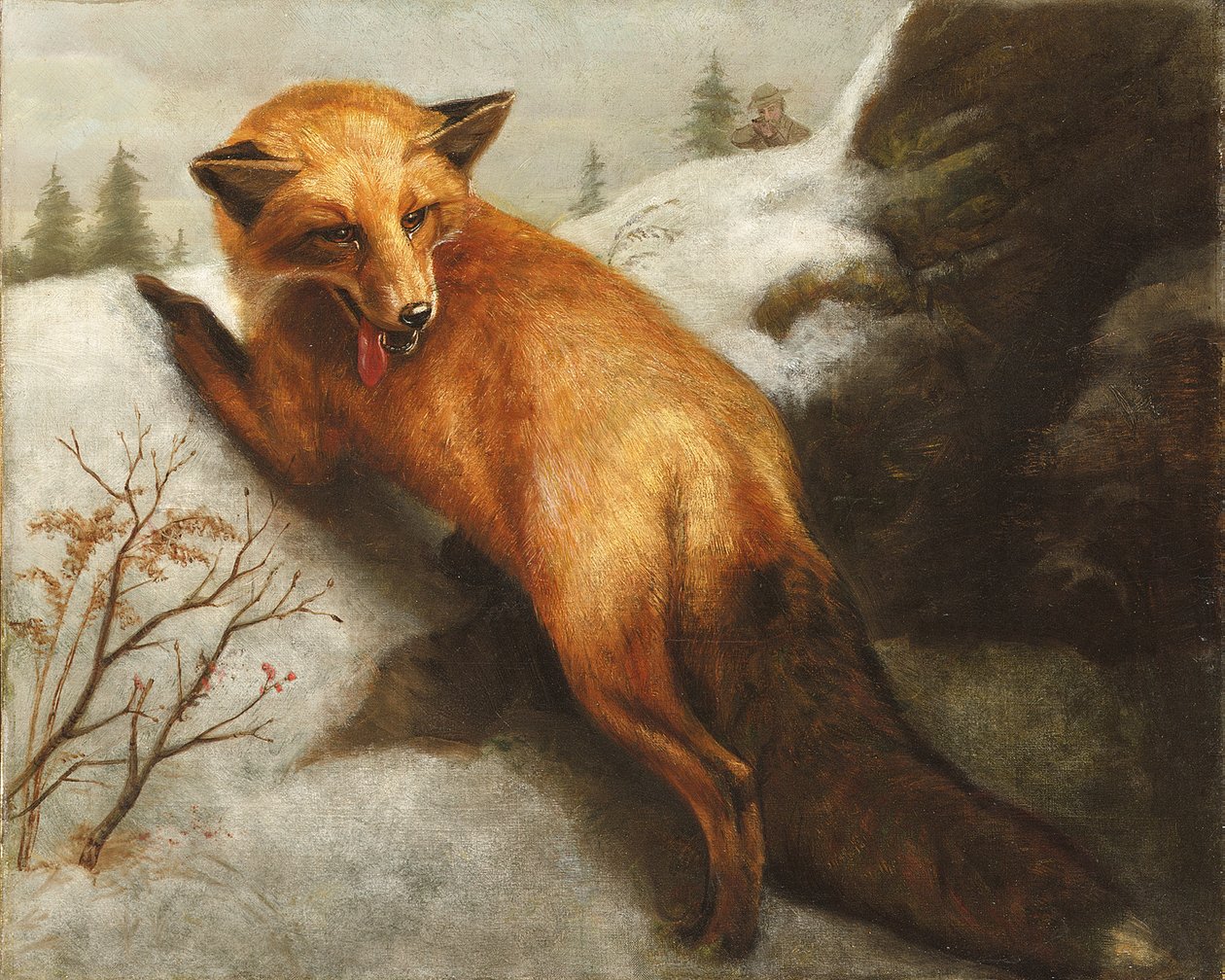 Der Rotfuchs, 1870 von Abbott Handerson Thayer