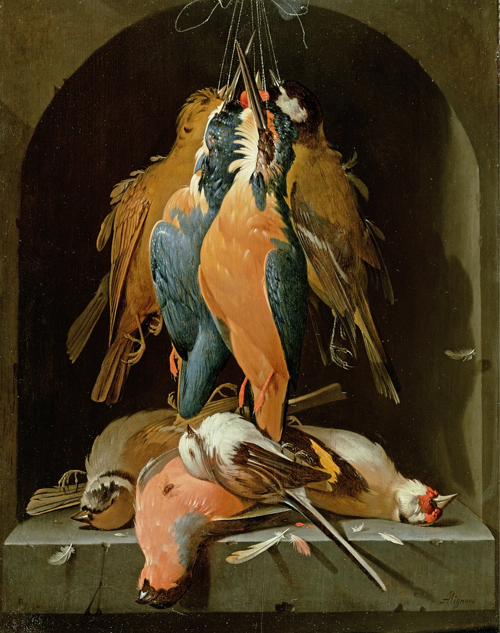 Stillleben mit Vögeln von Abraham Mignon
