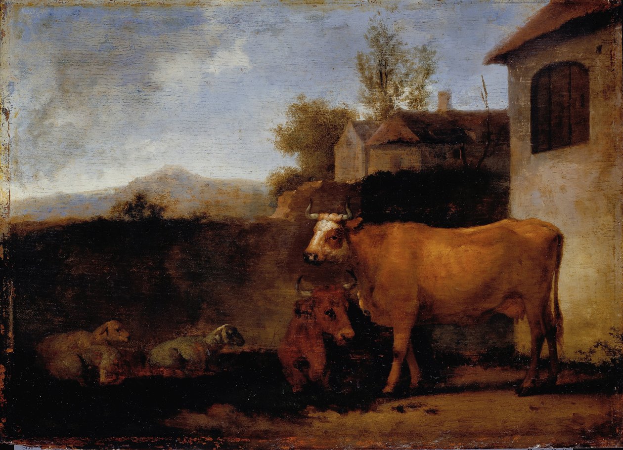 Kühe und Schafe von Abraham van Calraet