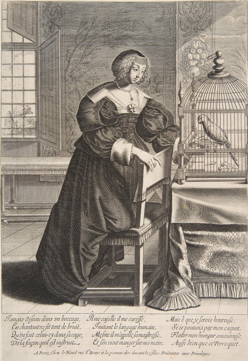 Der Papagei, 1620-76 von Abraham Bosse
