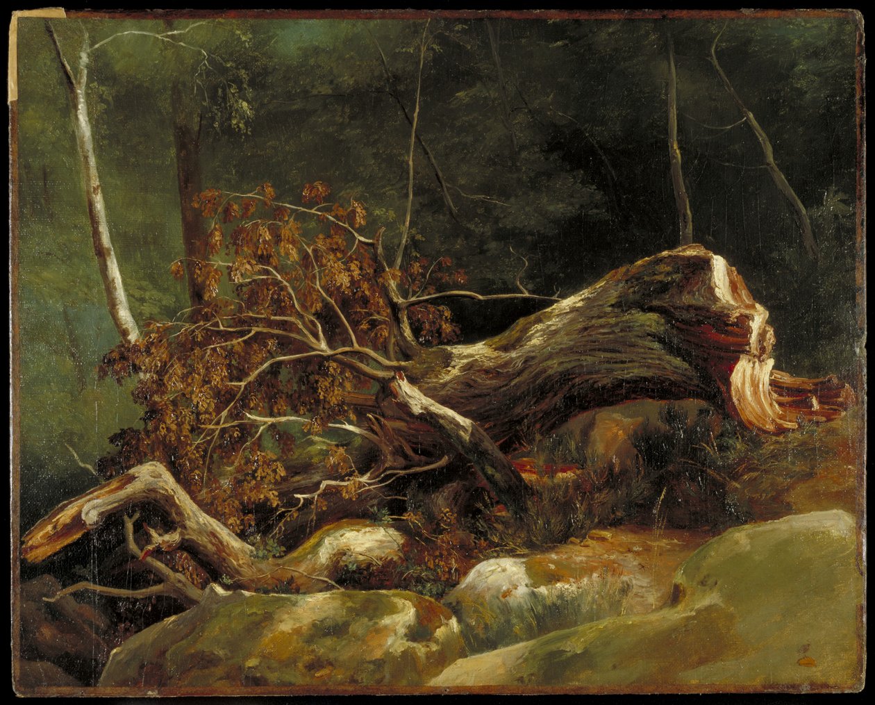 Der gefallene Ast, Fontainebleau, ca. 1816 von Achille Etna Michallon