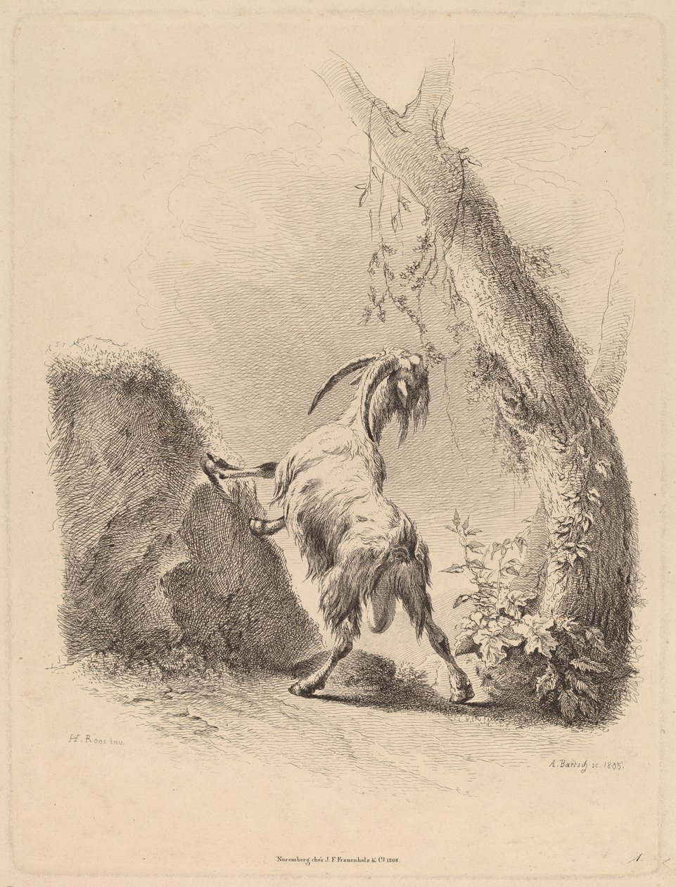 Ziege in einer Landschaft von Adam von Bartsch