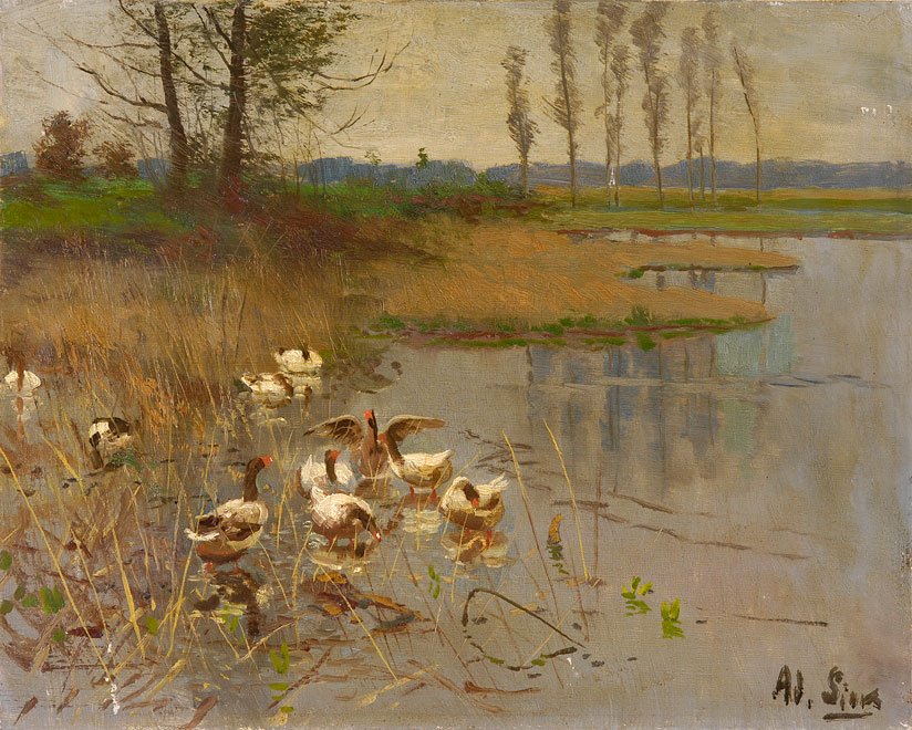 Seelandschaft mit Gänsen von Adolf Lins