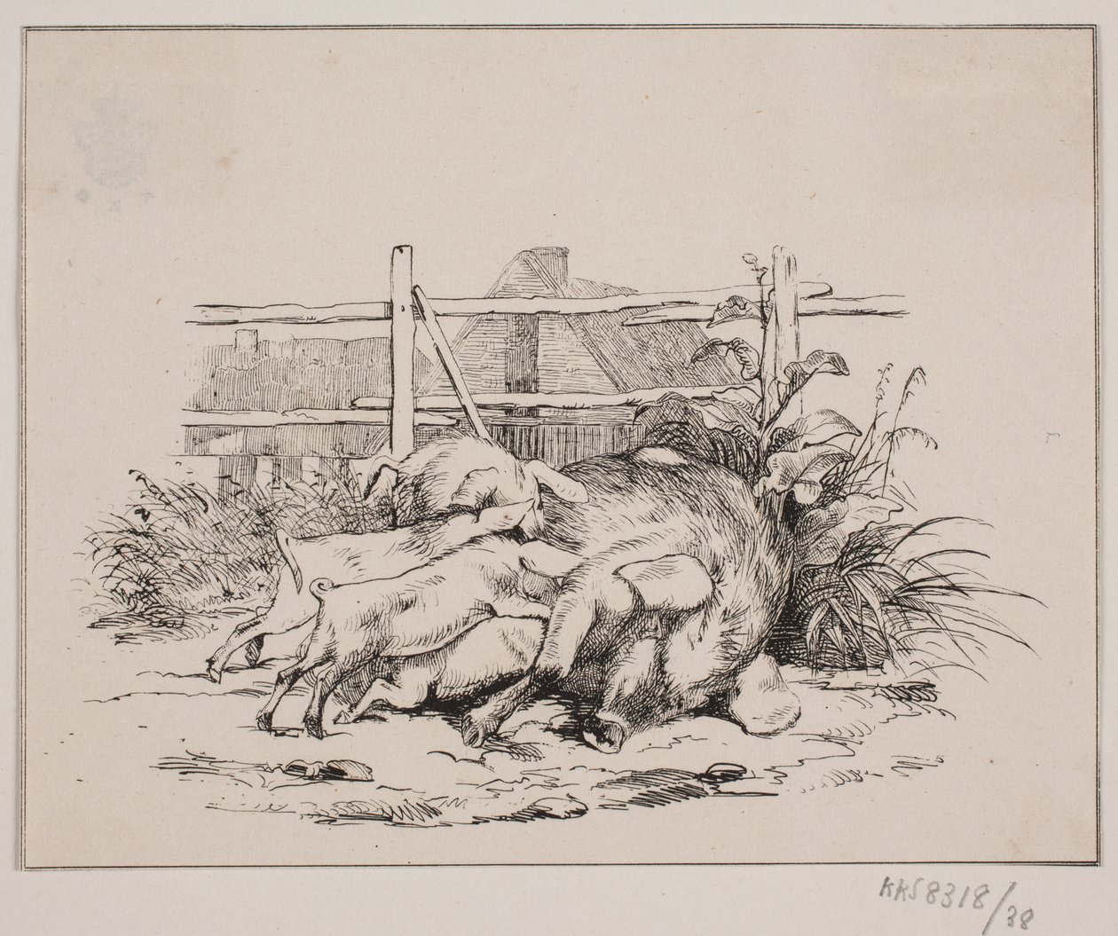 Die Schweine von Johan Adolph Kittendorff