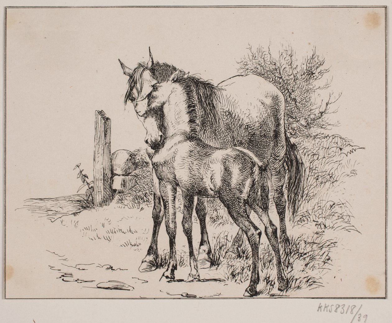 Das Pferd und das Fohlen von Johan Adolph Kittendorff