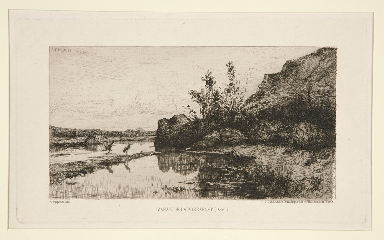 Marais de la Burbanche (Ain) von Adolphe Appian