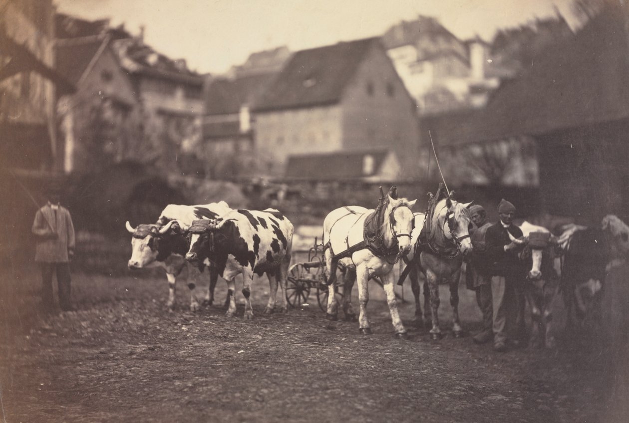 Ohne Titel (Bauernhoftiere) von Adolphe Braun