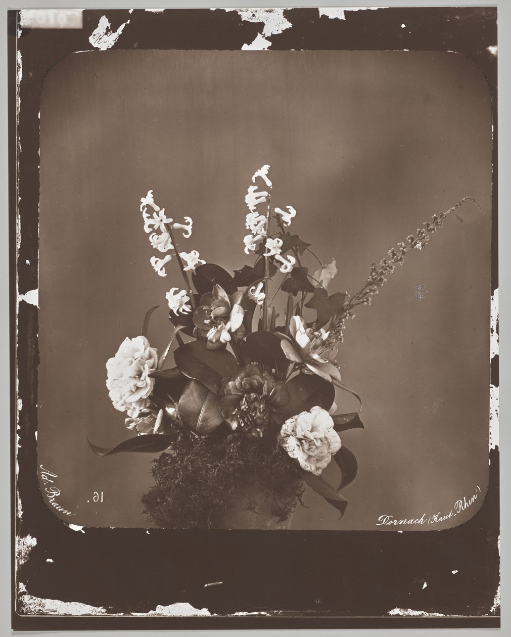 Ohne Titel (Blumenarrangement) von Adolphe Braun