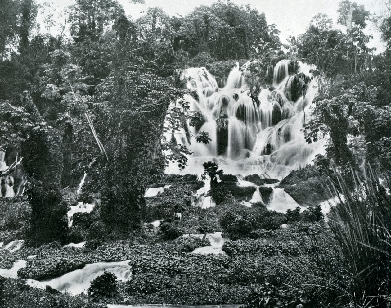 Roaring River Falls, Jamaika, um 1905 von Adolphe Duperly and Son