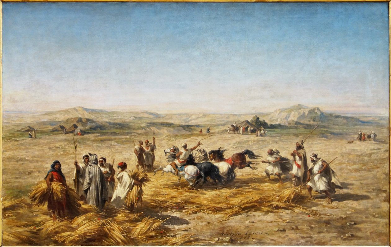 Dreschen des Weizens in Algerien von Adolphe Pierre Leleux