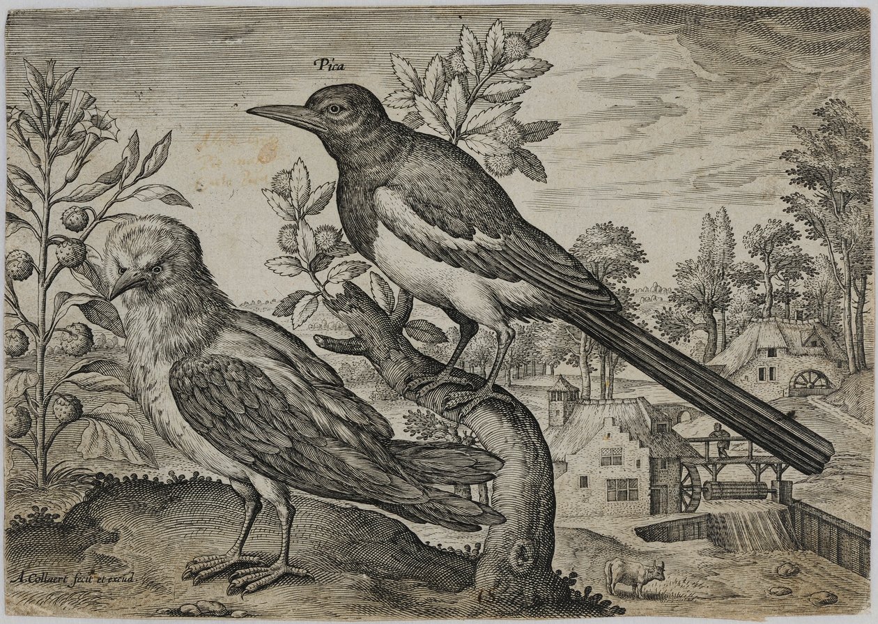 Alte Meister Gravur von Adriaen Collaert