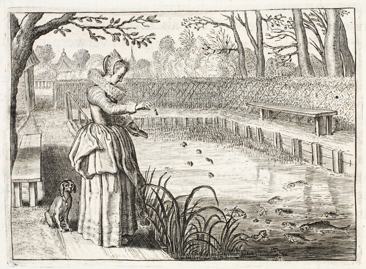 Fische füttern, Illustration aus 