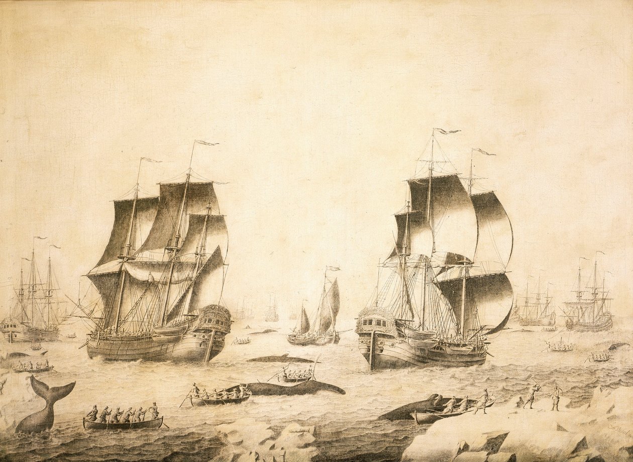 Walfänger im Eis von Adriaen or Abraham Salm