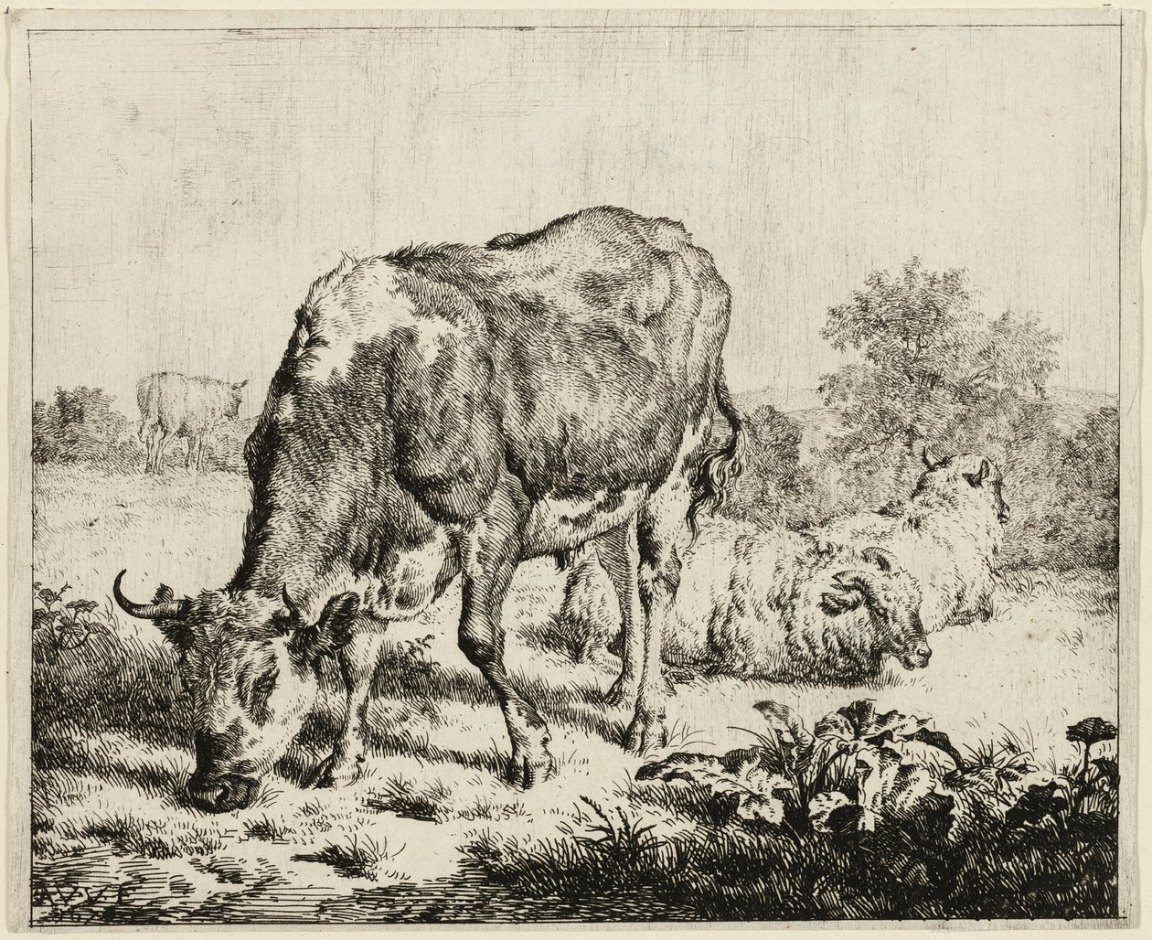 Eine Kuh und drei Schafe von Adriaen van de Velde