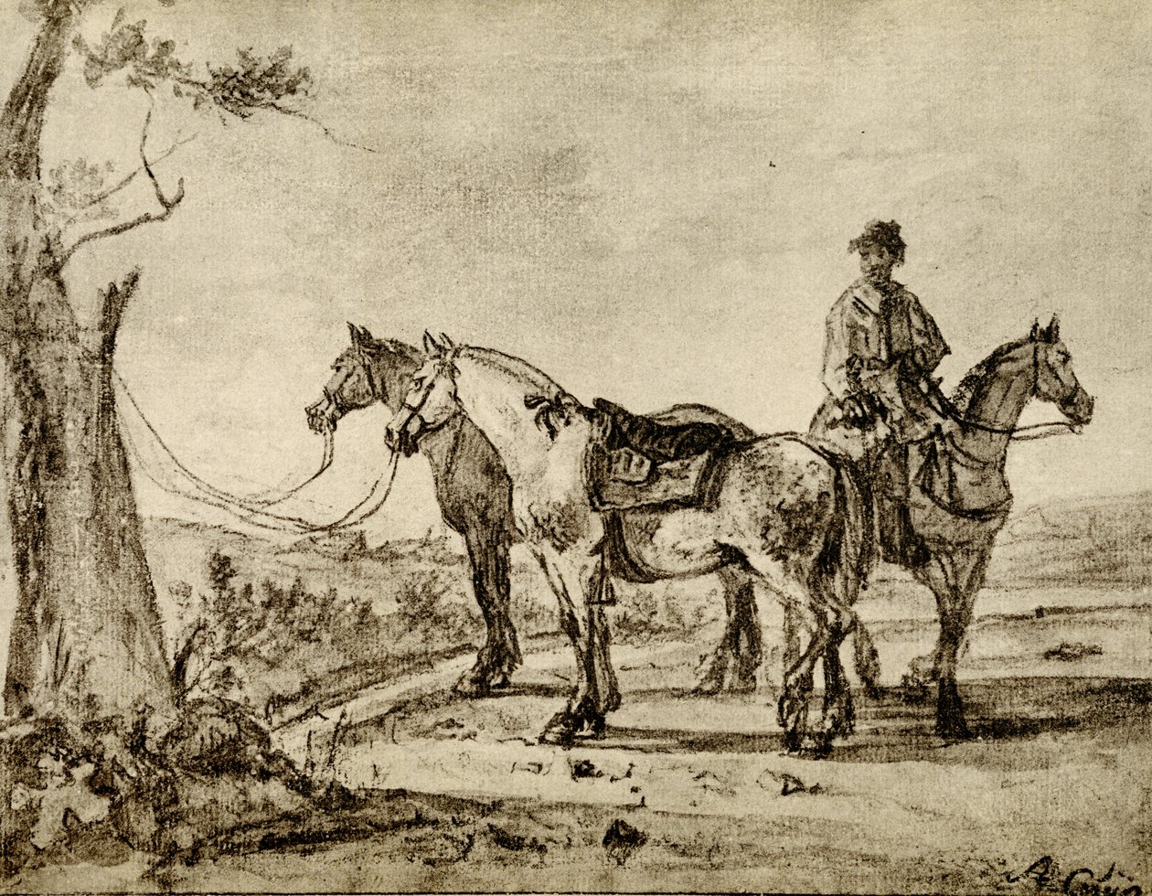 Drei Pferde von Aelbert Cuyp