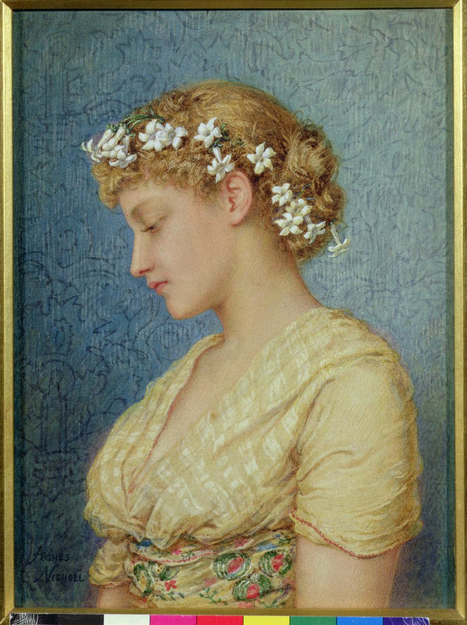 Stephanotis von Agnes Nicholl
