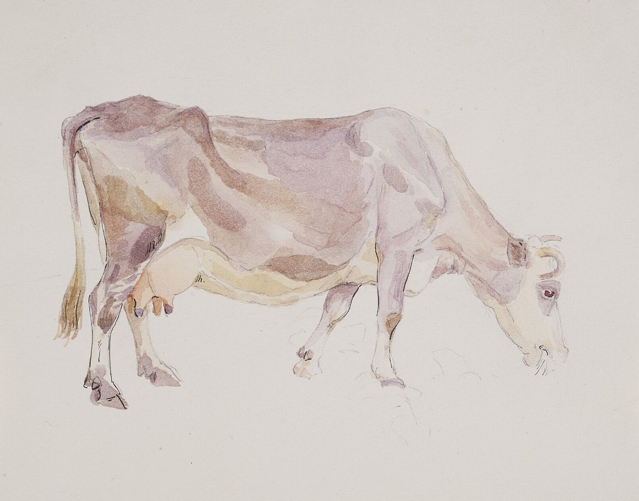 Stehende Kuh von Agnes Lunn