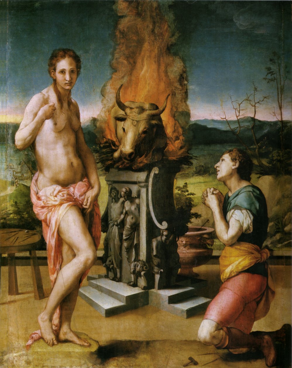 Pygmalion und Galathea von Agnolo Bronzino