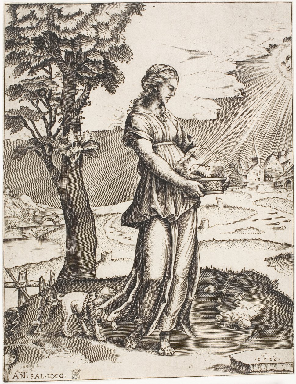 Die Kumanaische Sibylle von Agostino dei Musi