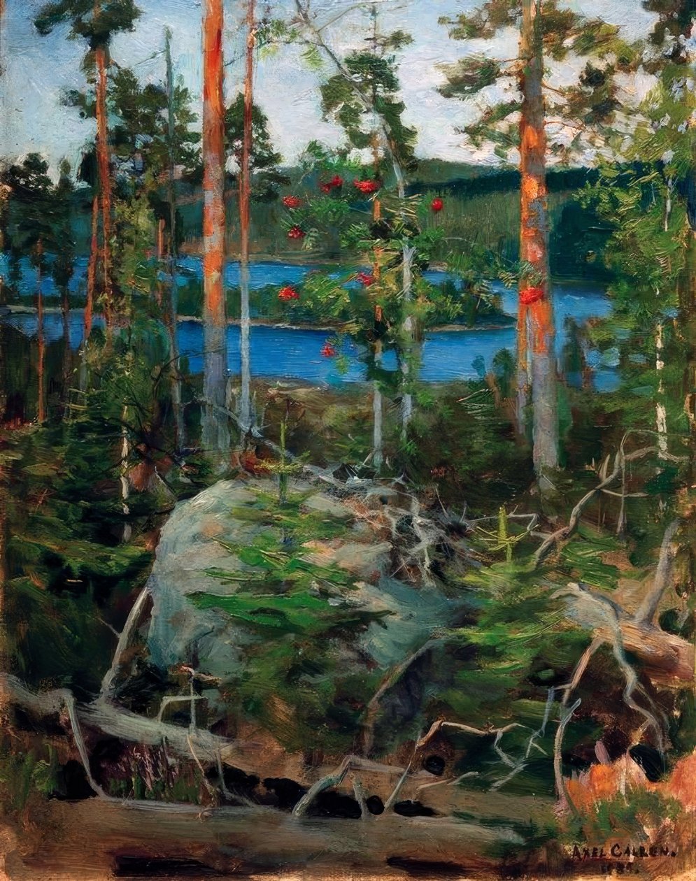 Landschaft am Jamajärvisee von Akseli Valdemar Gallen Kallela