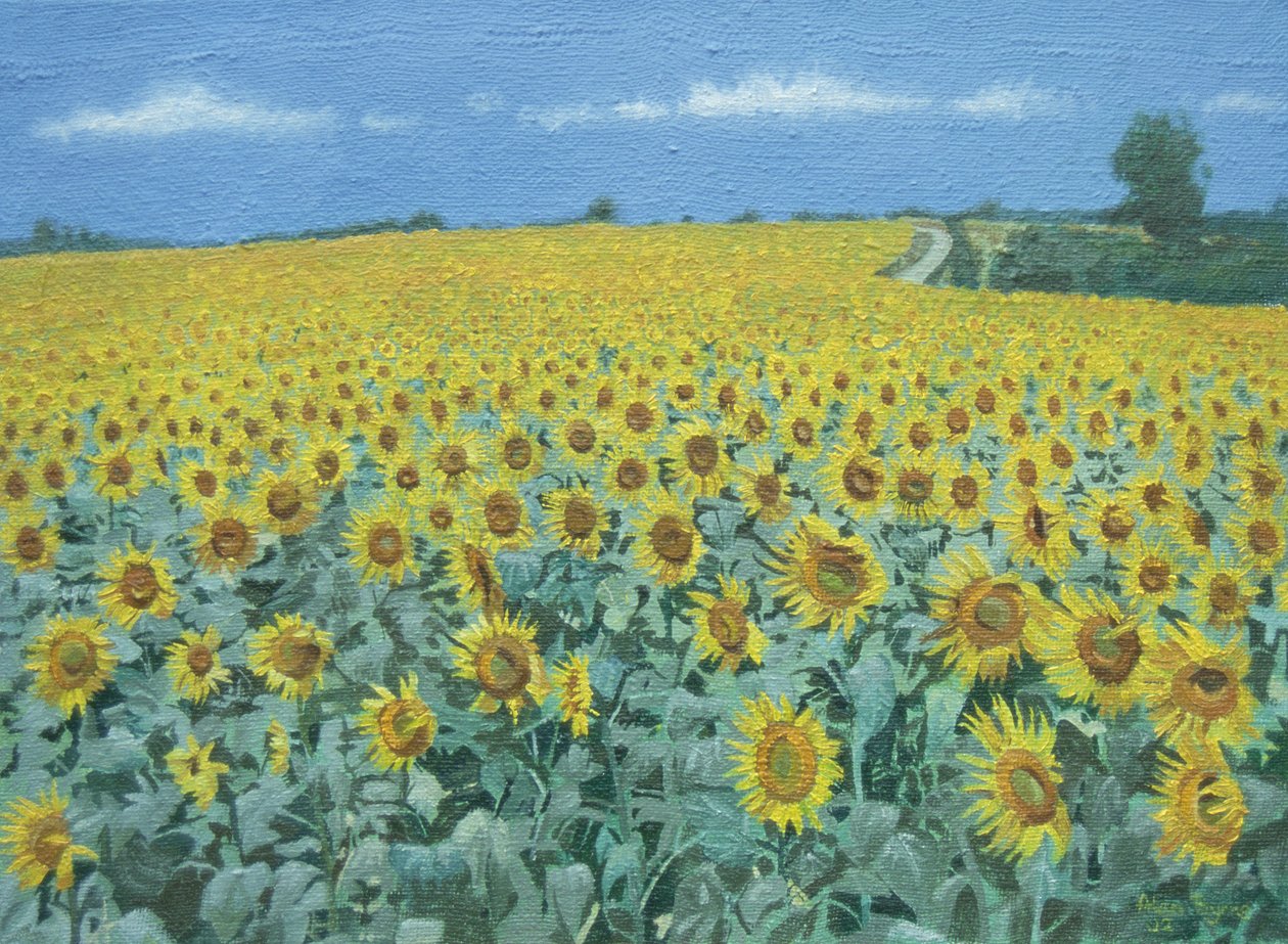 Feld mit Sonnenblumen, 2002 von Alan Byrne