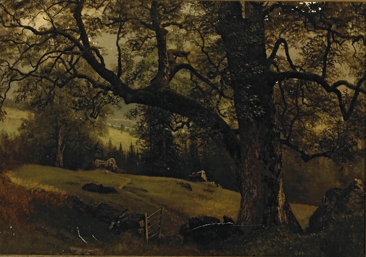 Ein Pfad durch die Bäume von Albert Bierstadt