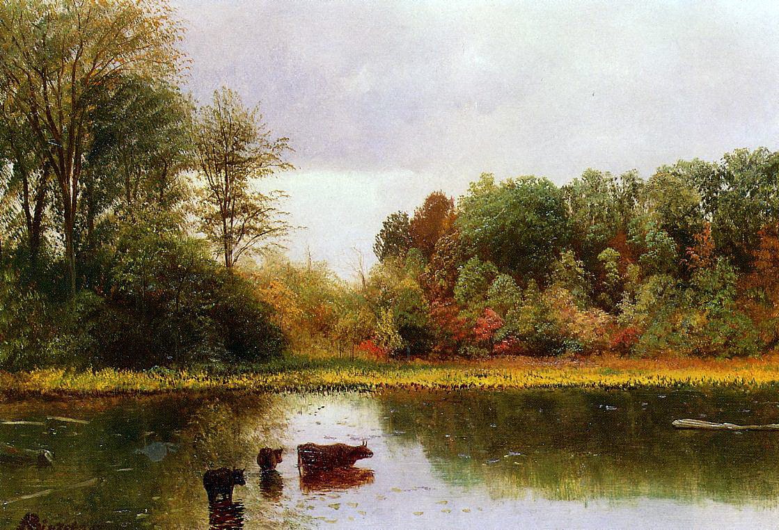 Kühe trinken in einer Landschaft von Albert Bierstadt