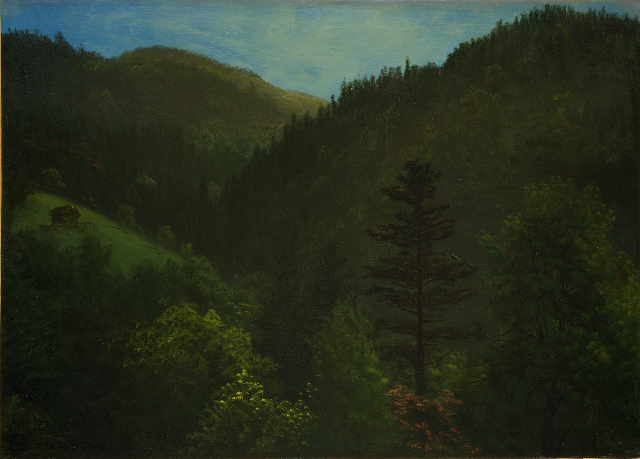 Waldlandschaft von Albert Bierstadt