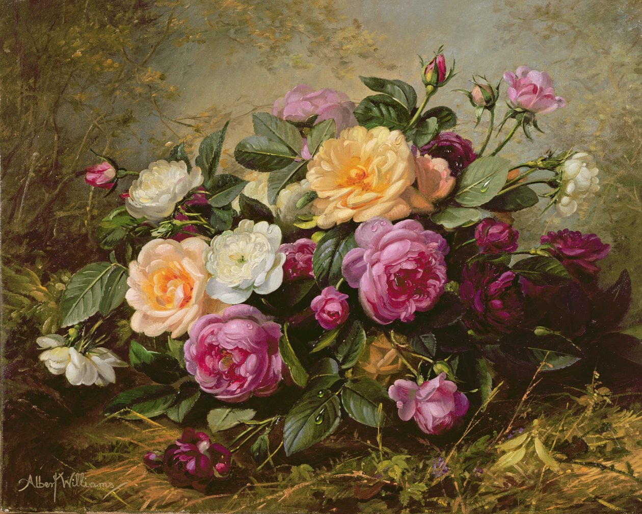 Voll erblühte Rosen von Albert Williams