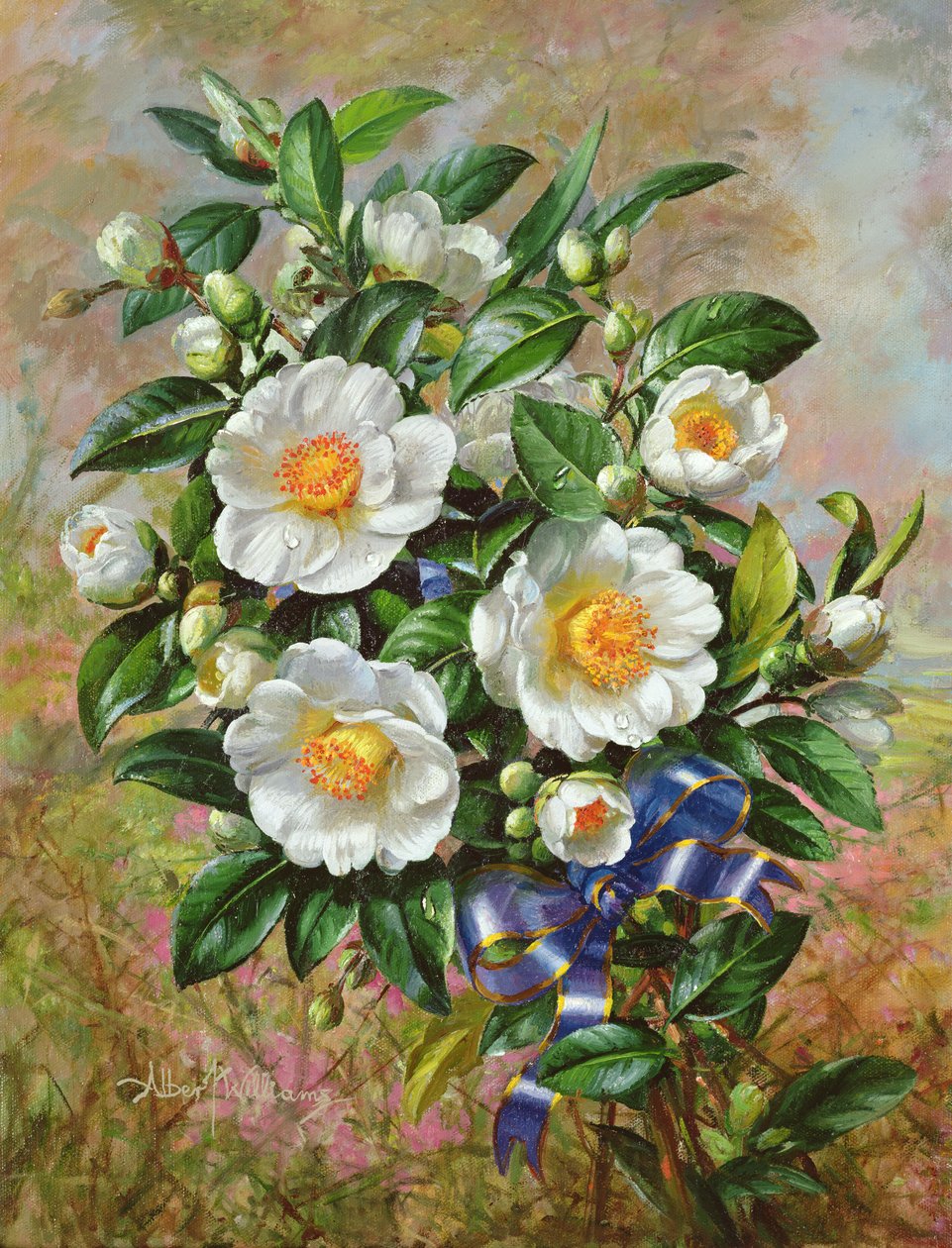 Krönungskamelie aus der Golden Jubilee Serie, 2002 von Albert Williams