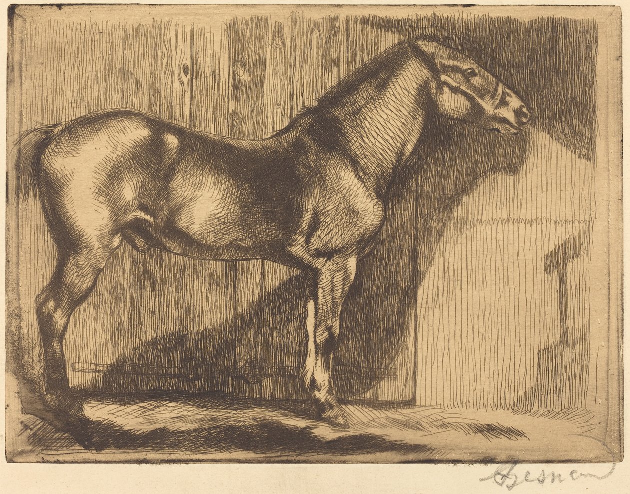 Pony von Albert Besnard