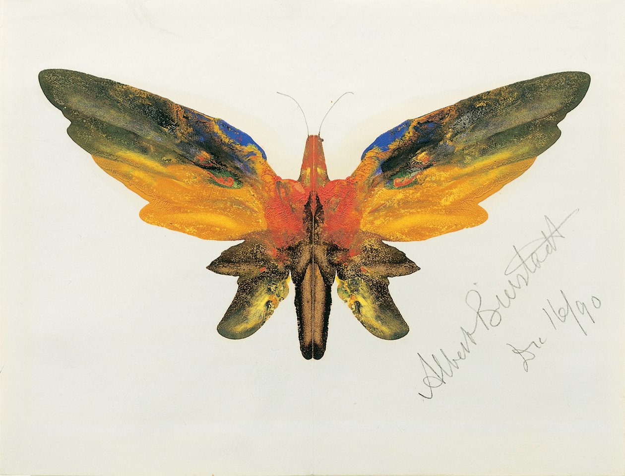 Schmetterling, 1890 von Albert Bierstadt