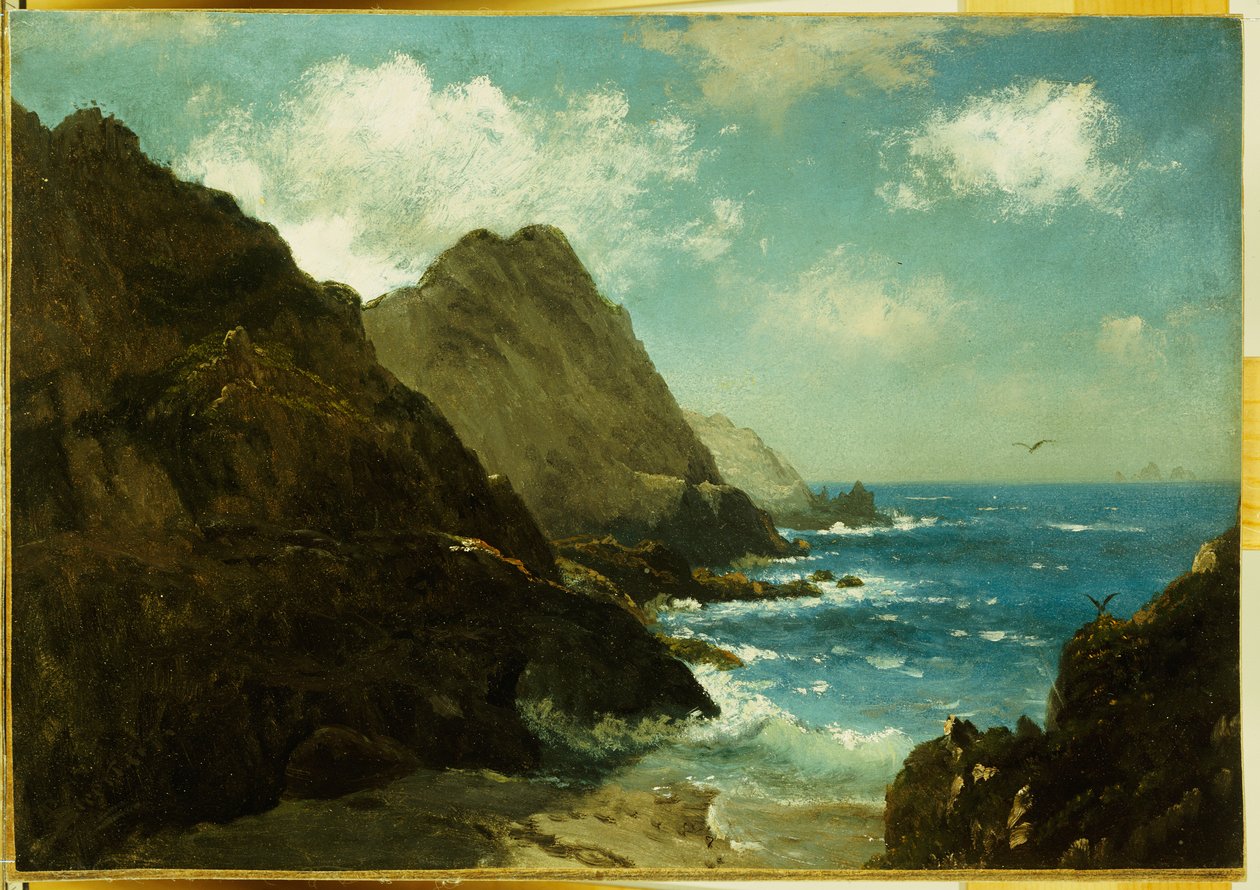 Farallon-Inseln von Albert Bierstadt