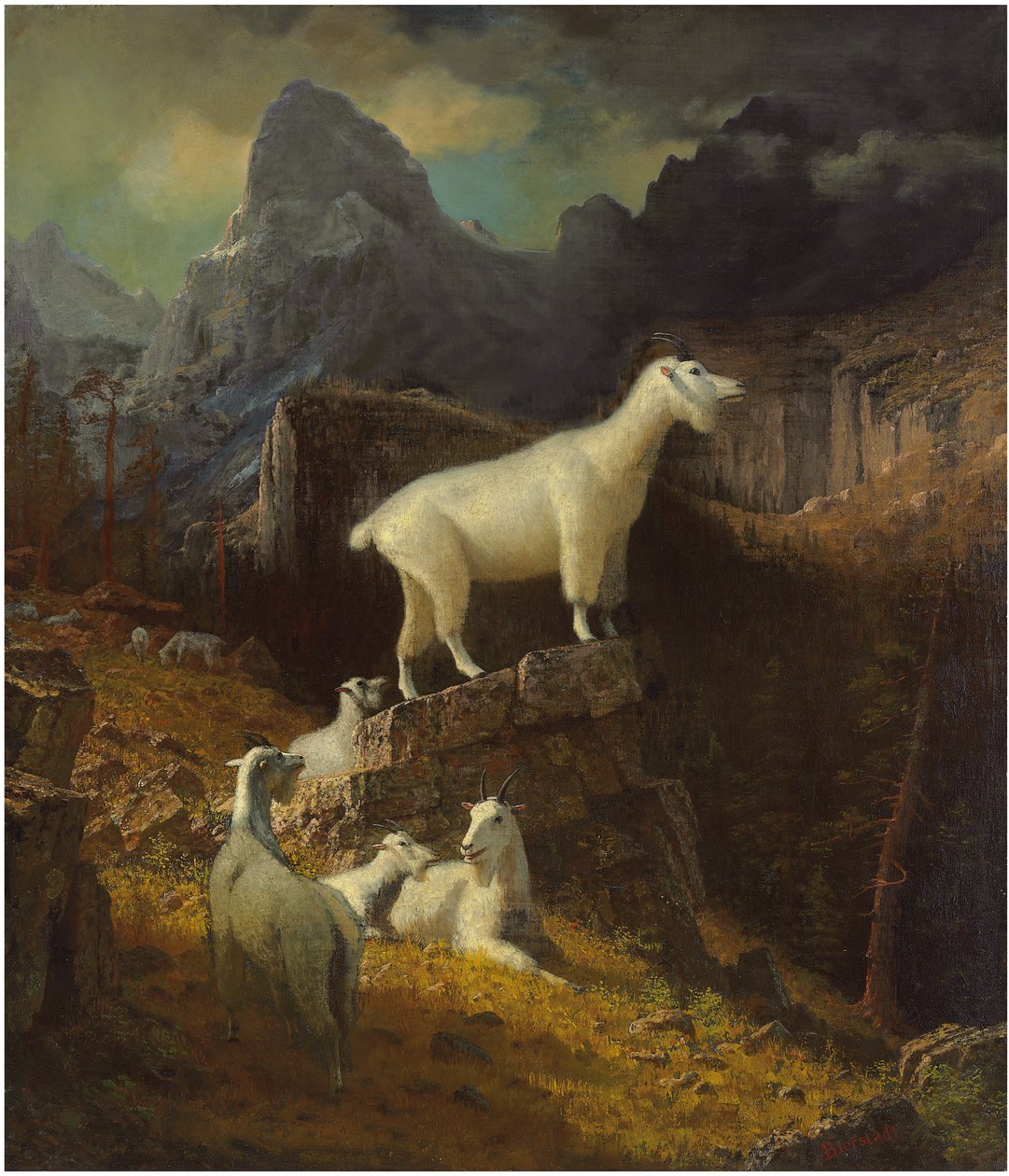 Rocky Mountain Ziegen, ca. 1885 von Albert Bierstadt