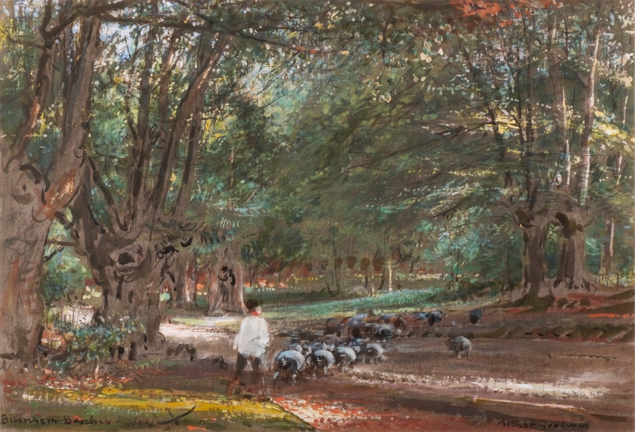 Burnham Beeches von Albert Goodwin