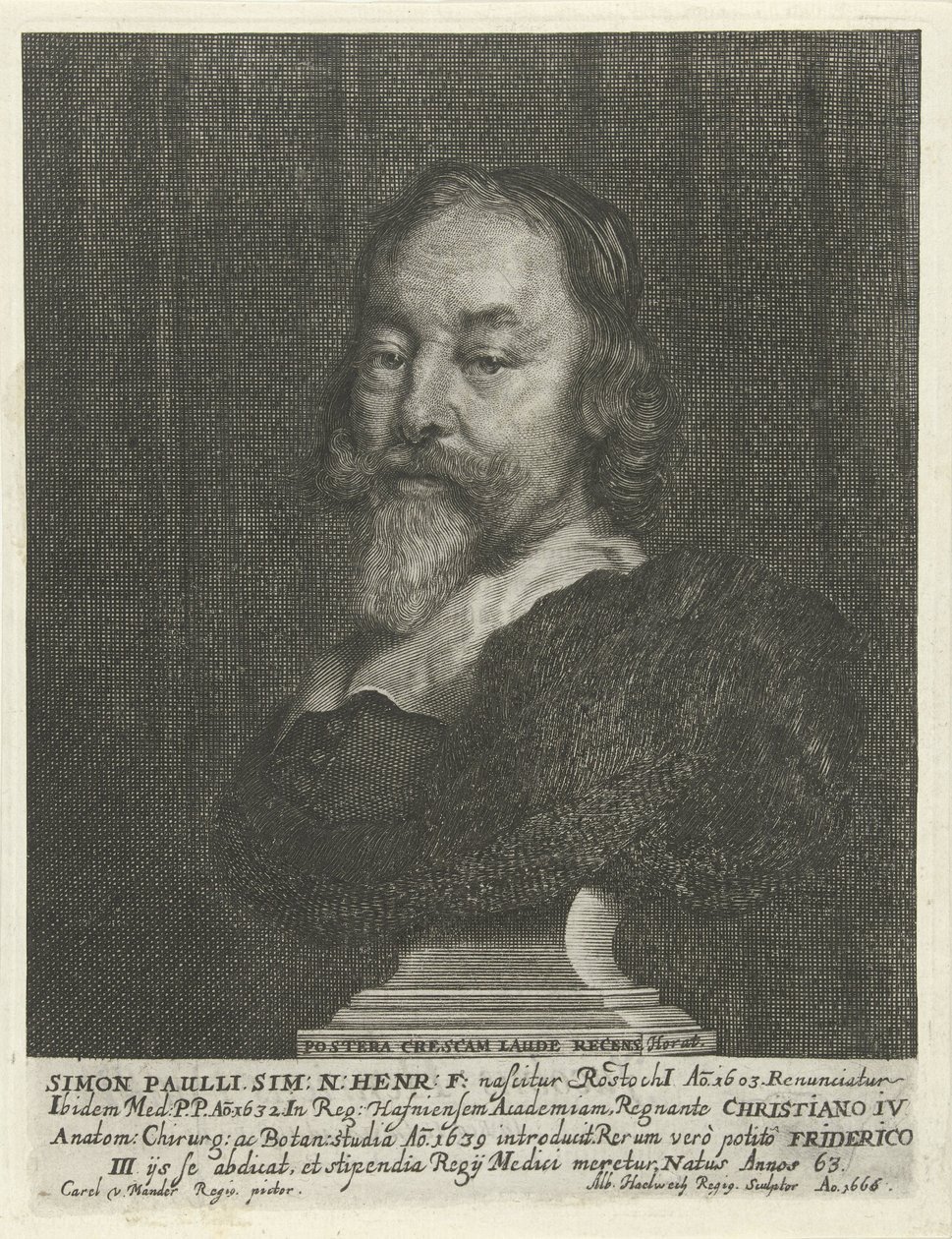 Büste von Simon Paulli von Albert Haelwegh