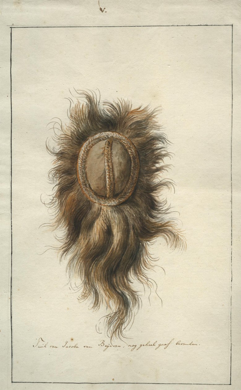 Die Kopfbedeckung von Jacoba van Beijeren von Albertus Frese de Jonge