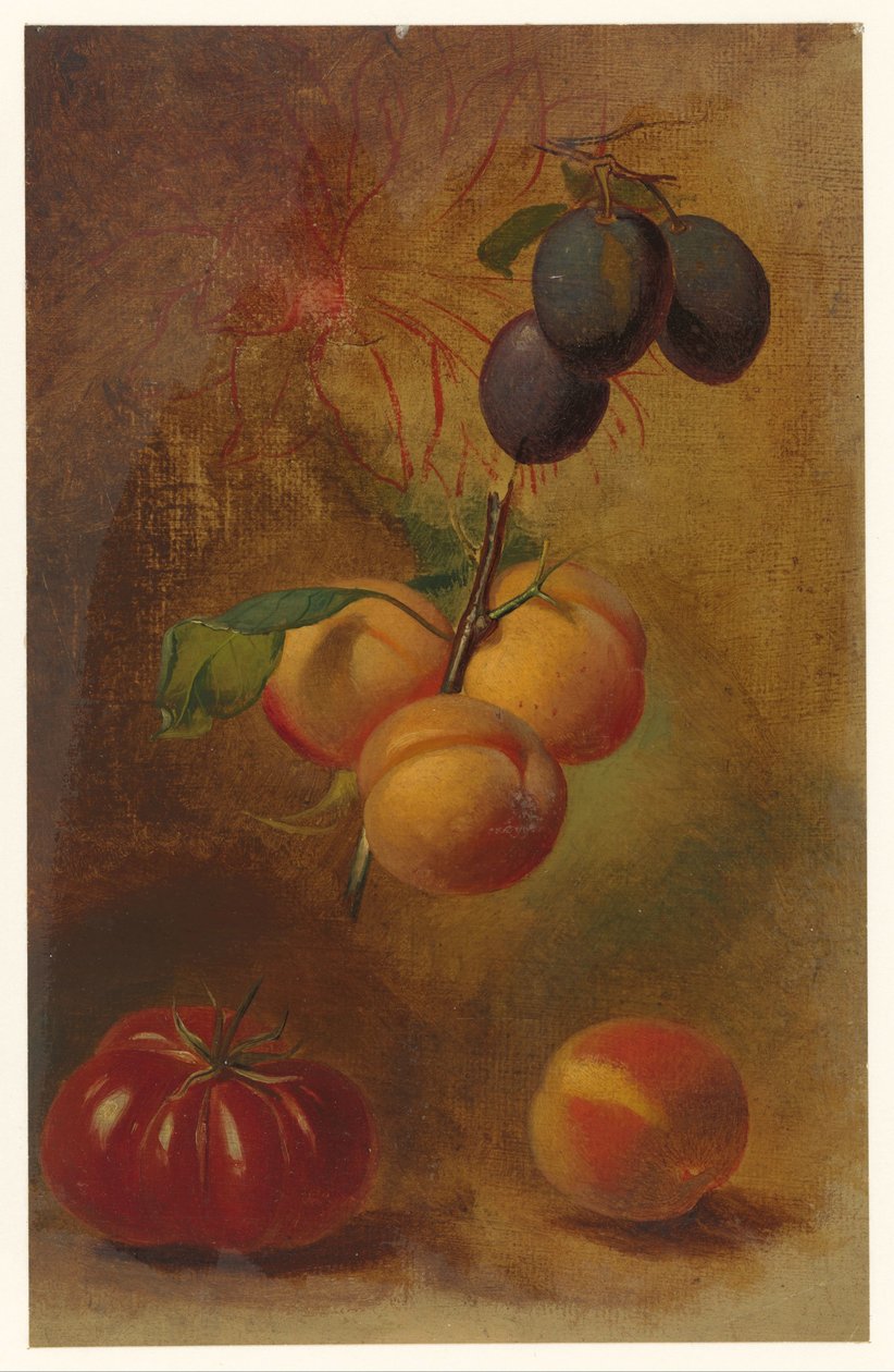 Stillleben mit Pflaumen, Aprikosen und Tomate von Albertus Steenbergen