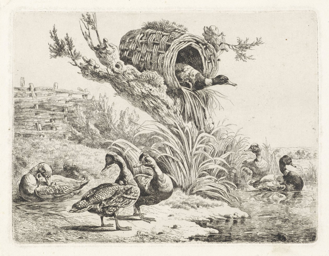 Enten an einem Ufer von Albertus Verhoesen