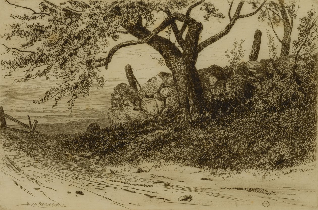 Landstraße von Albion Harris Bicknell