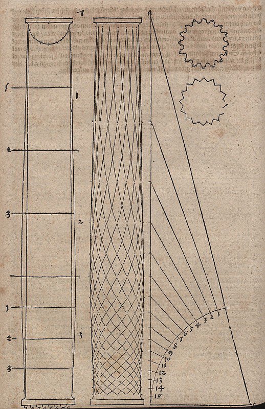 Bauchige Säulenform und Säulenquerschnitte von Albrecht Dürer